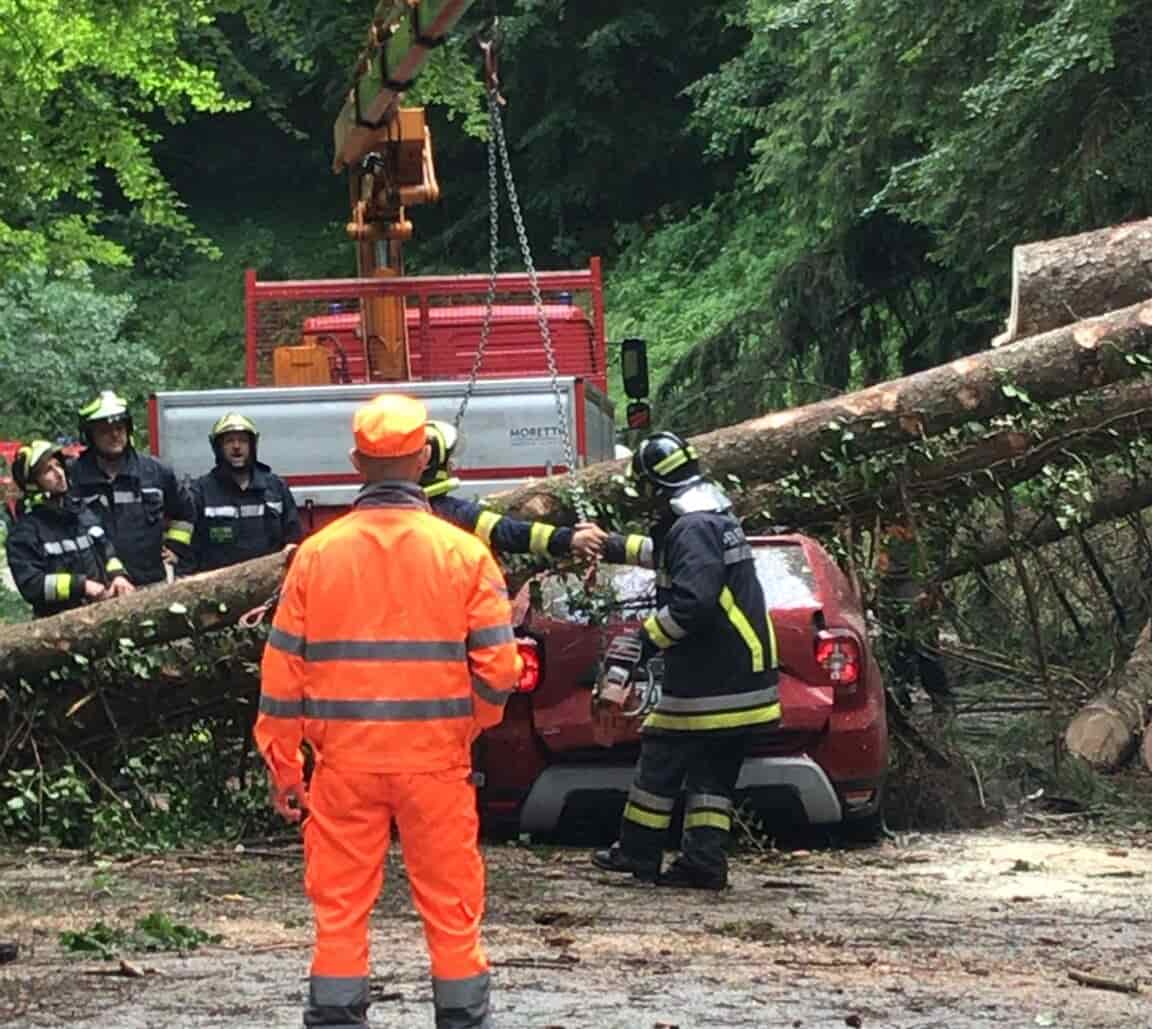 PIANTA CADUTA SU AUTO A TREMALZO (1)