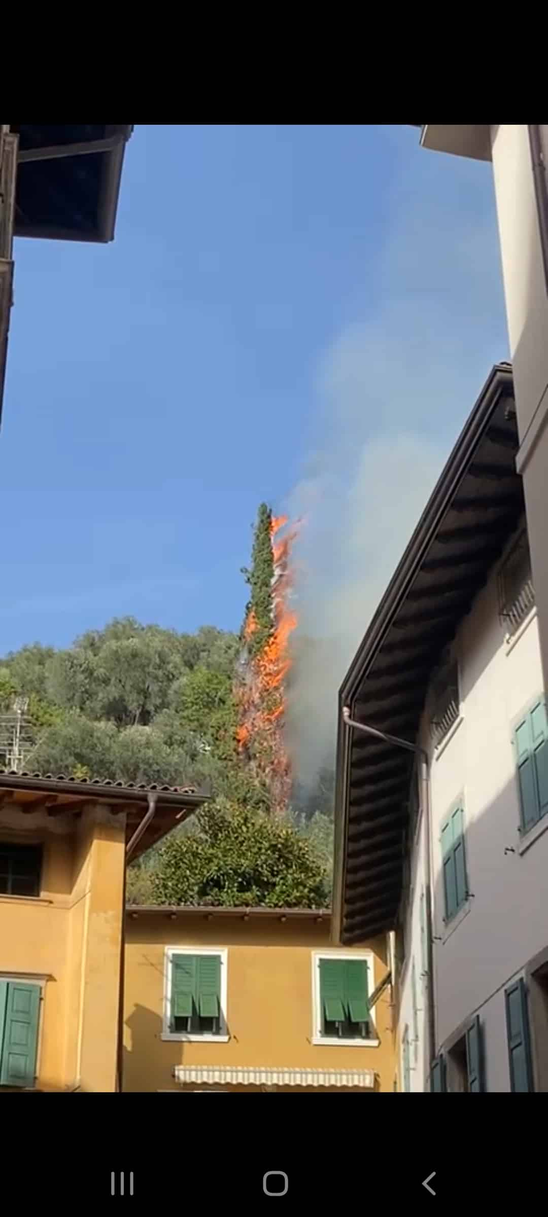 INCENDIO PIANTA OLIVAIA ARCO (1)