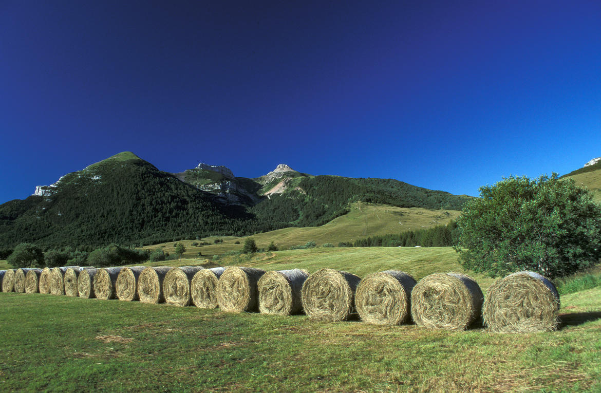 balle di fieno sul Monte Bondone, Trentino Alto Adige