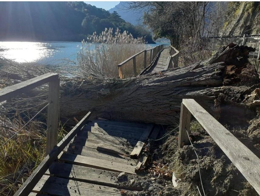 passerella lago toblino chiusa albero