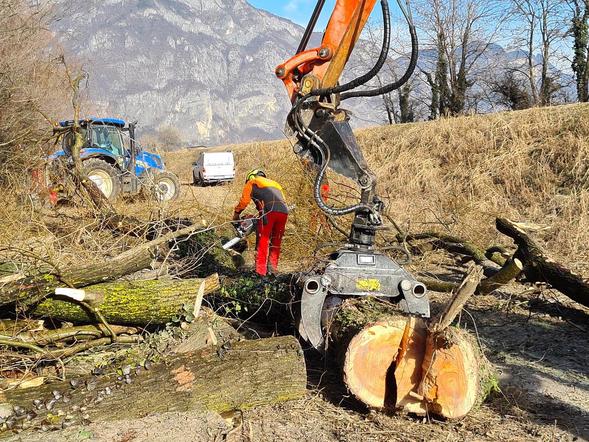 FORESTALE PULIZIA BACINI MONTANI FIUMI 2