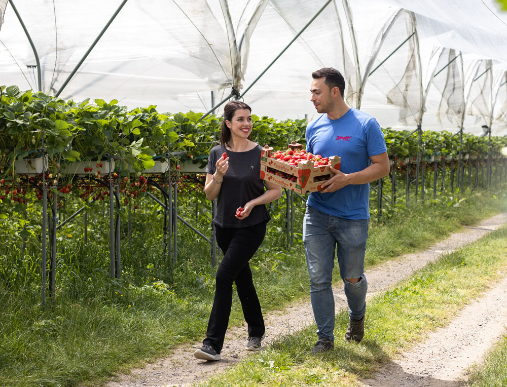 LA CASINA - CHEF GIADA MIORI - DRENA - AZIENDA AGRICOLA ZANETTI. - GIADA E SEBASTIANO MIORI 2