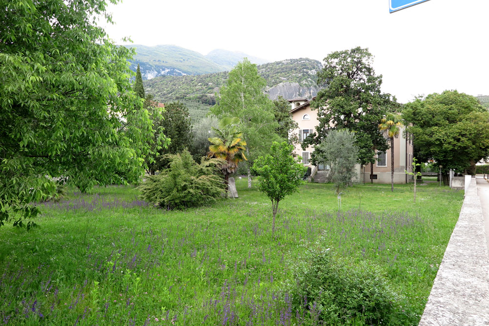 Erba alta e cartelli sbiaditi al Giardino della Pace di Arco, le ...