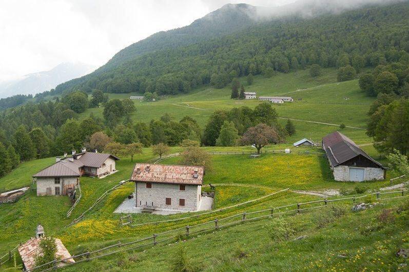 Si-affidano-le-malghe-Campo-e-Vallestre_imagefull.jpg