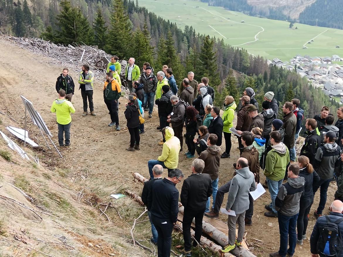 Obertilliach-in-Tirolo salvaguardia-delle-foreste