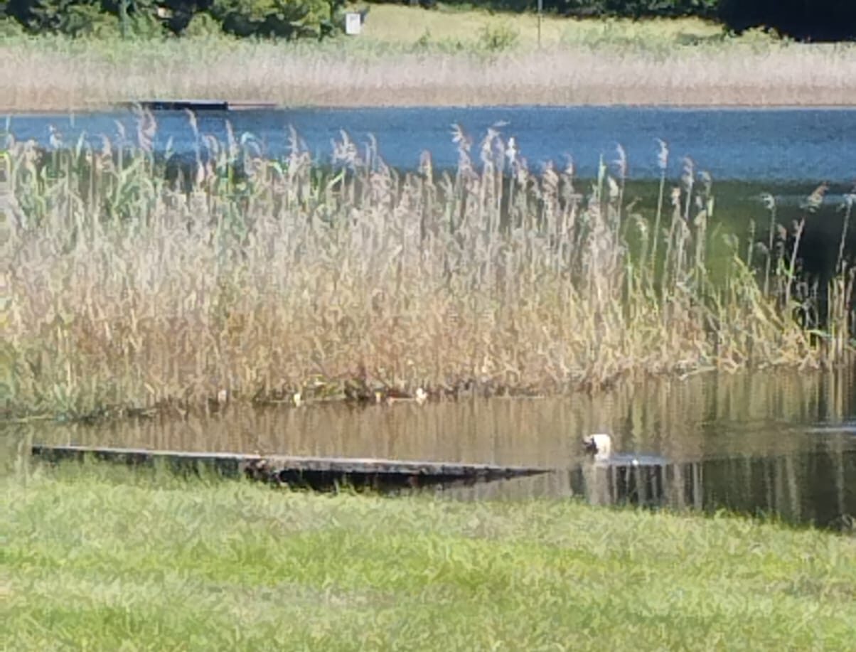 lago lagolo livello alto (3)