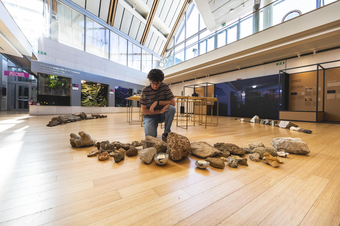 MUSEI TRENTINO Muse-Agora-EcologieMinerali-MichelePurin-Web-9_imagefullwide