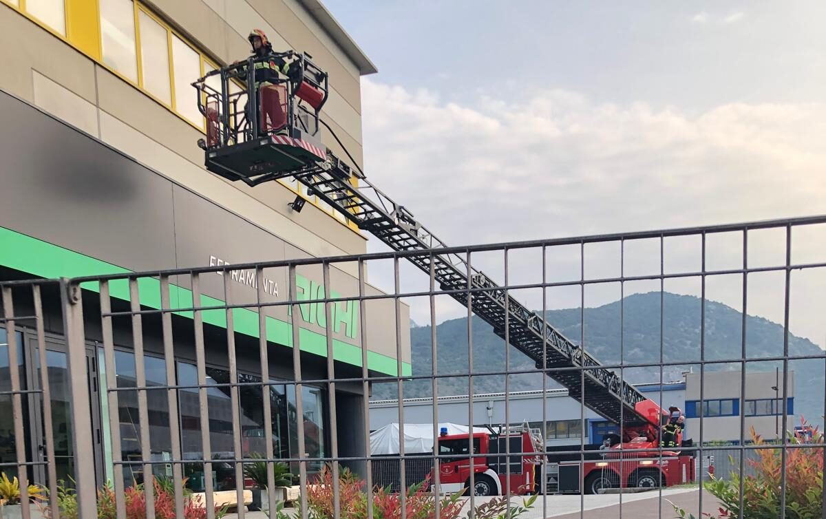 SALVATAGGIO GATTO ANGELO GRAZIE ARCO (3)