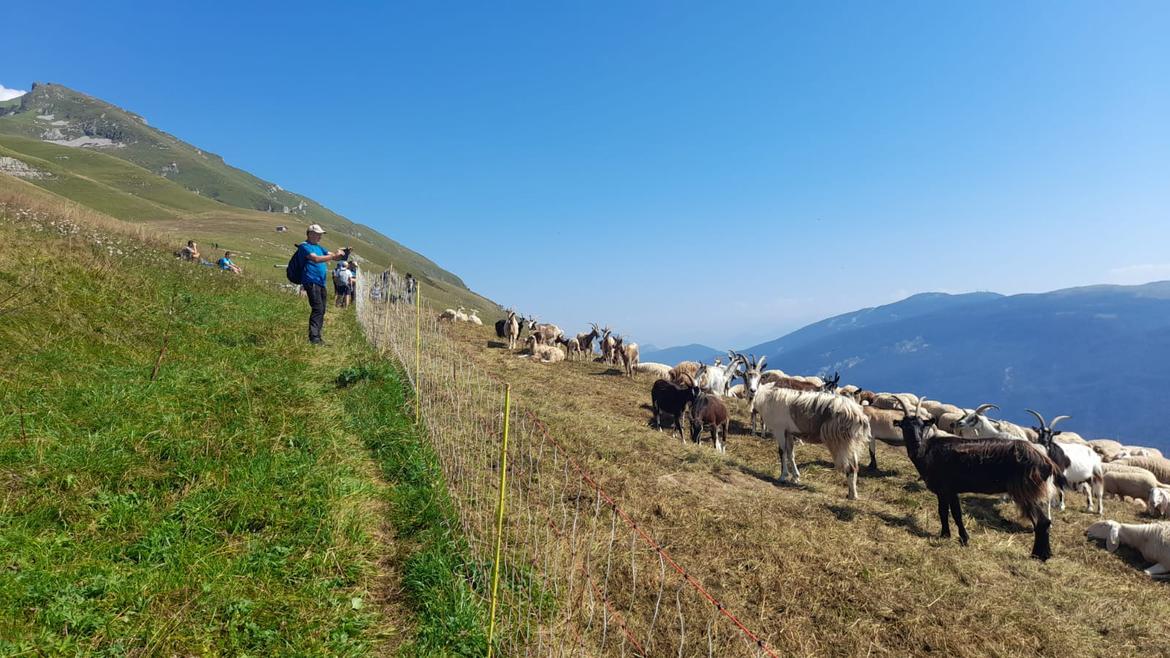 TRENTINO SLOVENIA LUPI ORSI 2