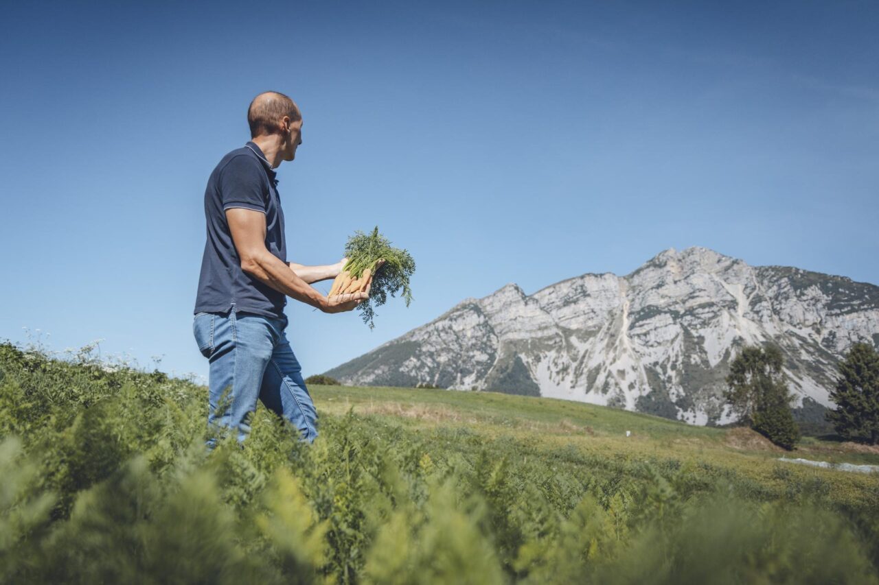 2024_APTGARDADOLOMITI_ph_PRUGNOLA_Gresta_Verdure_Consorzio_2364