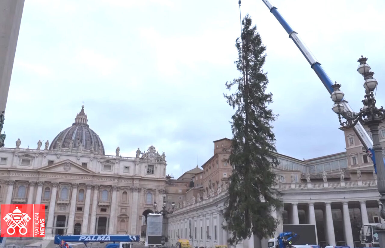 ALBERO NATALE LEDRO