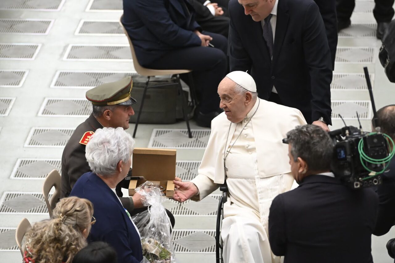 abete natale ledro in piazza san pietro vaticano (11)