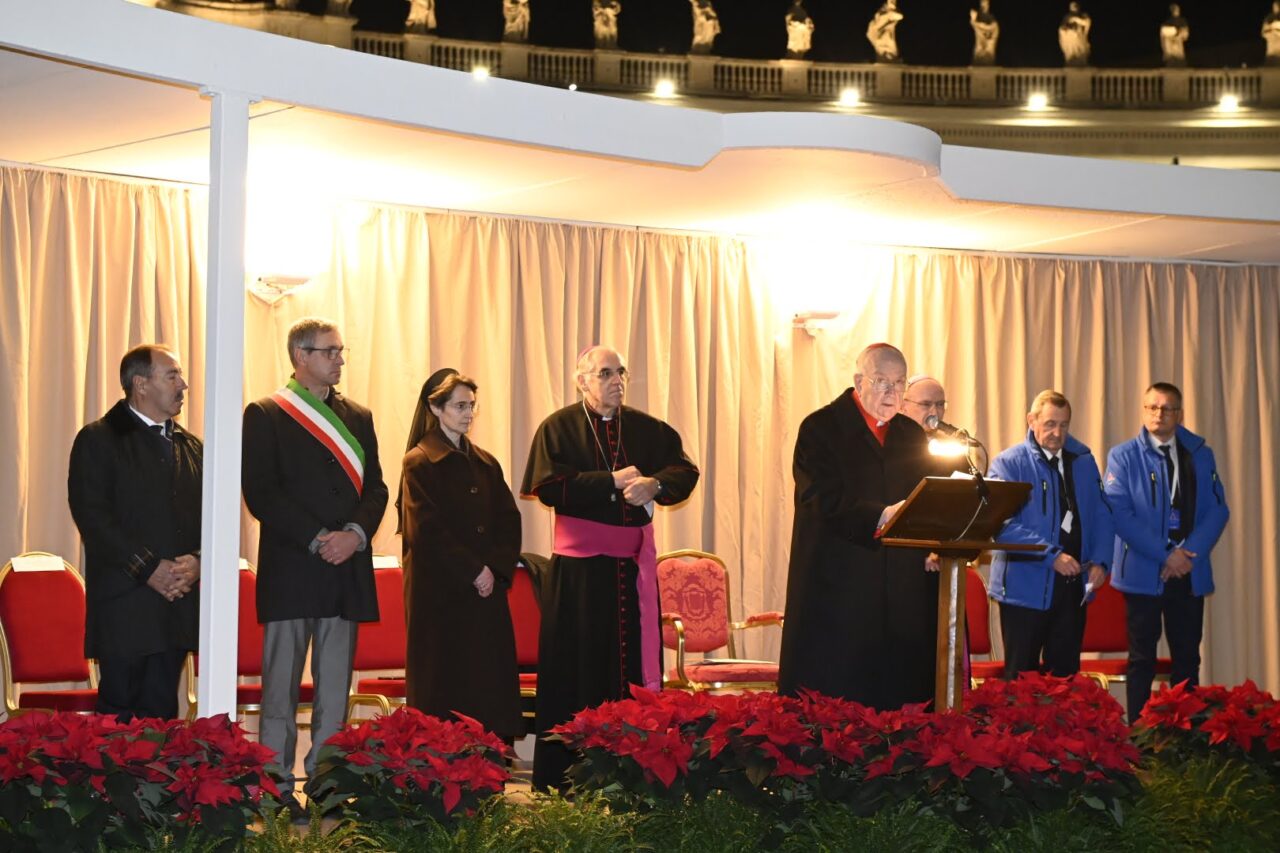 abete natale ledro in piazza san pietro vaticano (29)