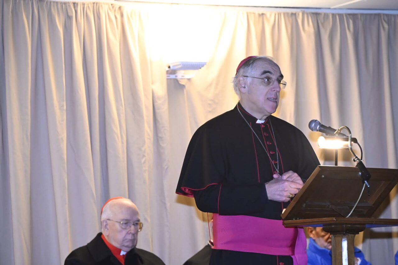 abete natale ledro in piazza san pietro vaticano (32)