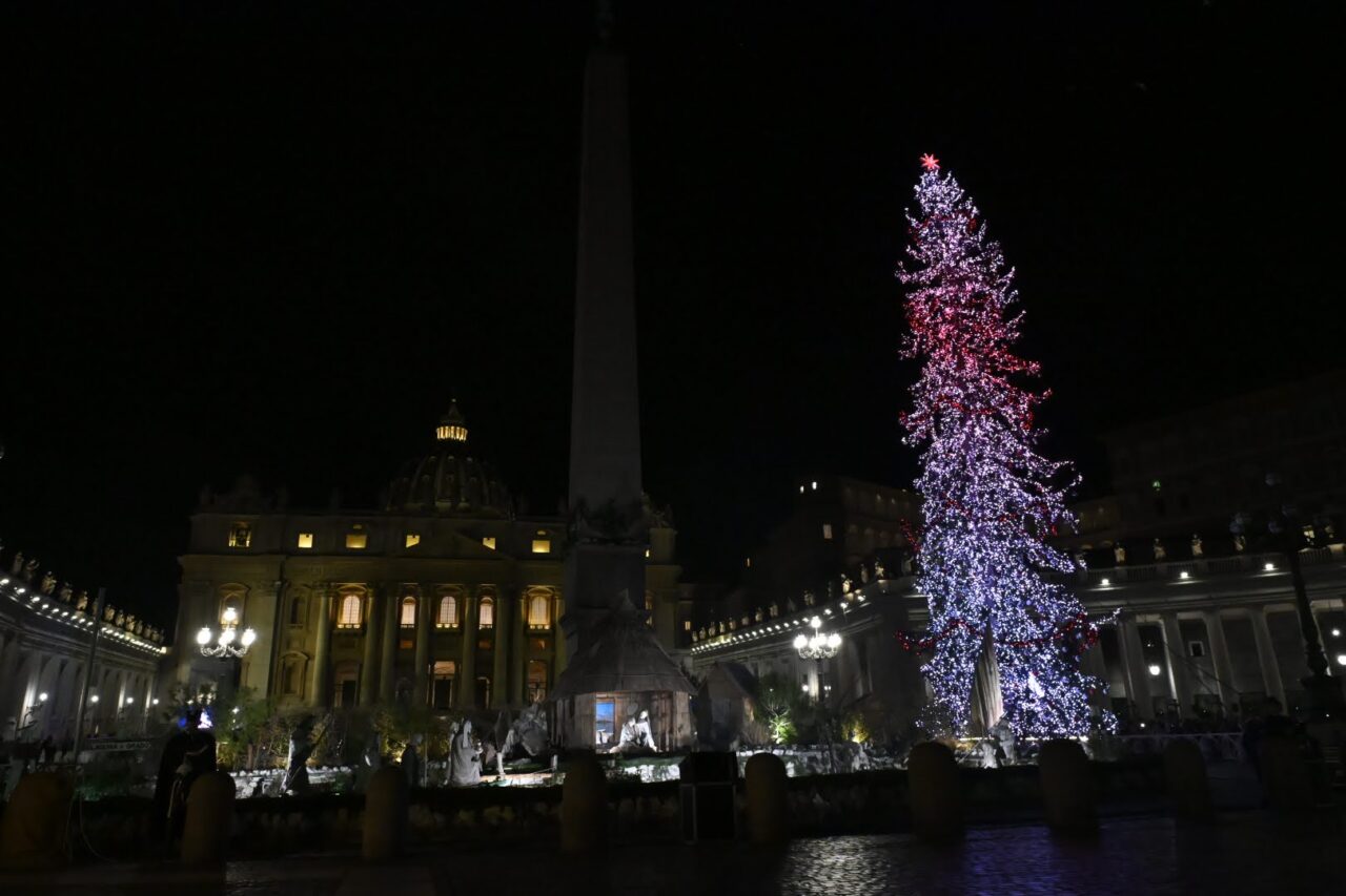 abete natale ledro in piazza san pietro vaticano (40)