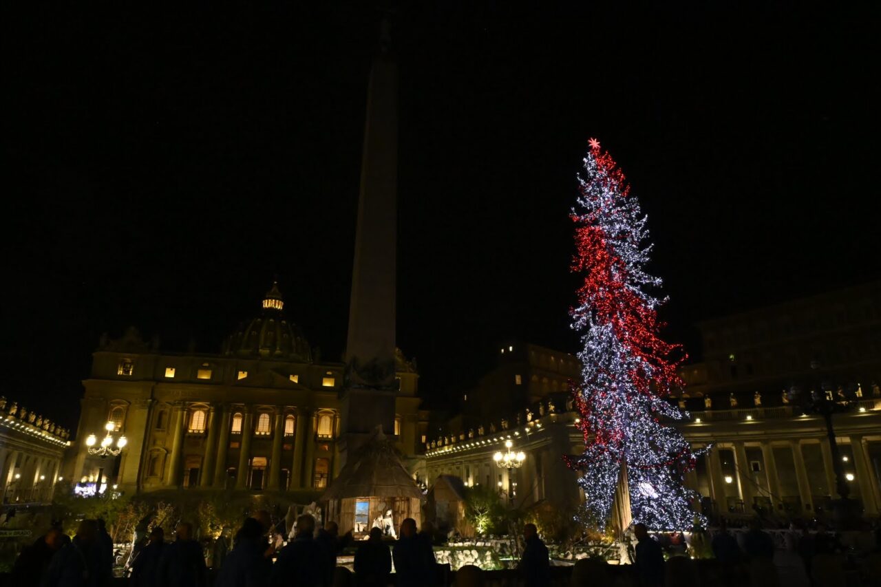 abete natale ledro in piazza san pietro vaticano (45)