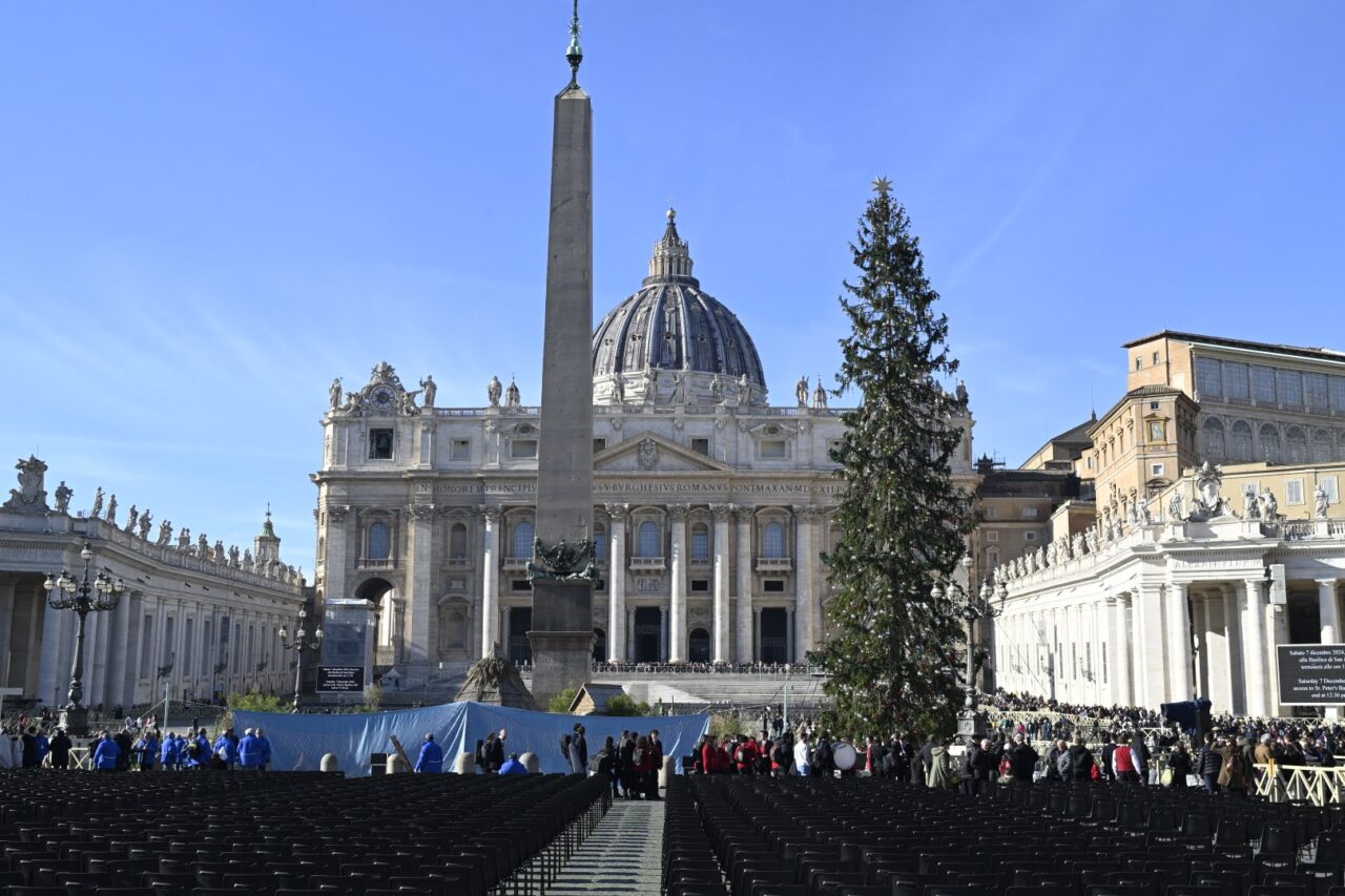 abete natale ledro in piazza san pietro vaticano (53)