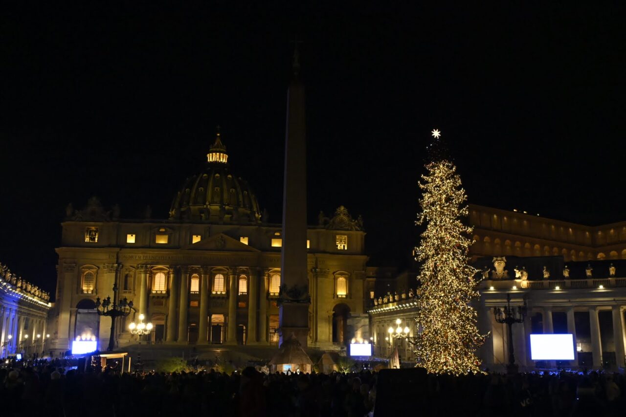 abete natale ledro in piazza san pietro vaticano (68)