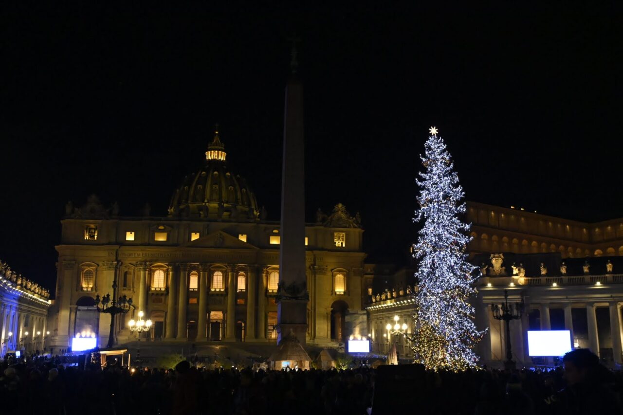 abete natale ledro in piazza san pietro vaticano (69)