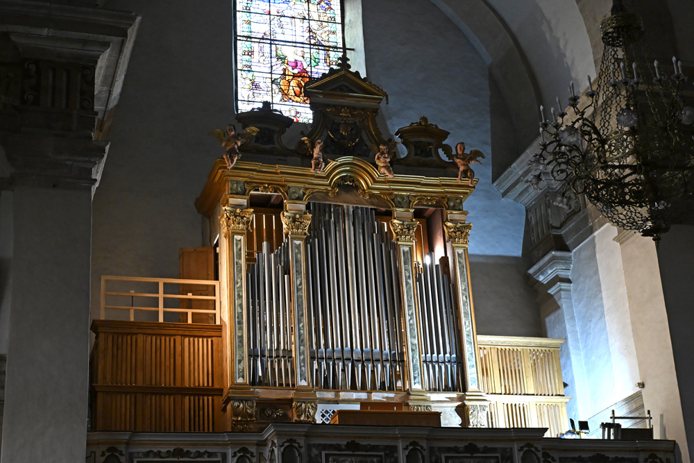 _ZFG4890 ORGANO CHIESA COLLEGIATA ARCO (2)
