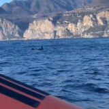 Surfista all'addiaccio nel Garda salvato dalla Guardia Costiera