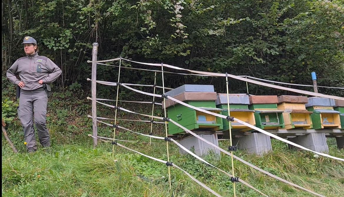 ORSI RECINZIONI ELETTRICHE