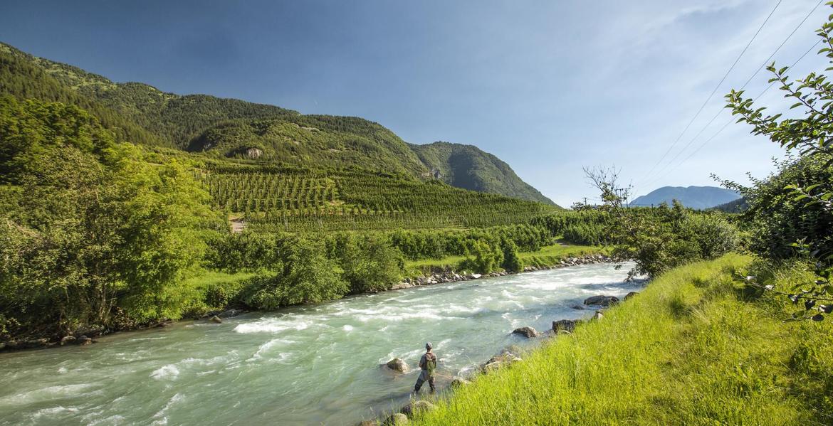 Pesca-sul-fiume-Noce_Archivio-APT-Val-di-Sole_-2_imagefullwide
