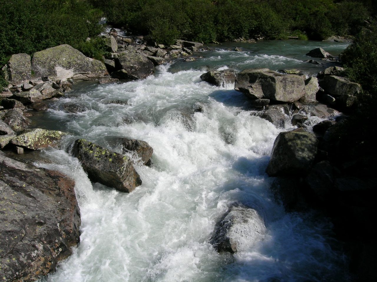 sarca