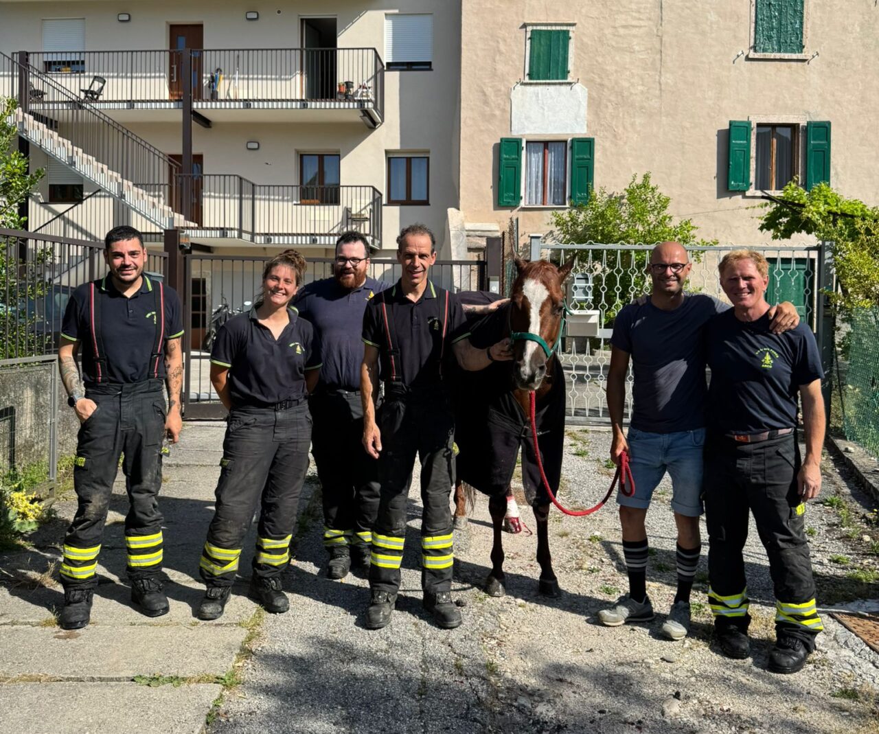 vigili fuoco arco salvano cavallo (1)