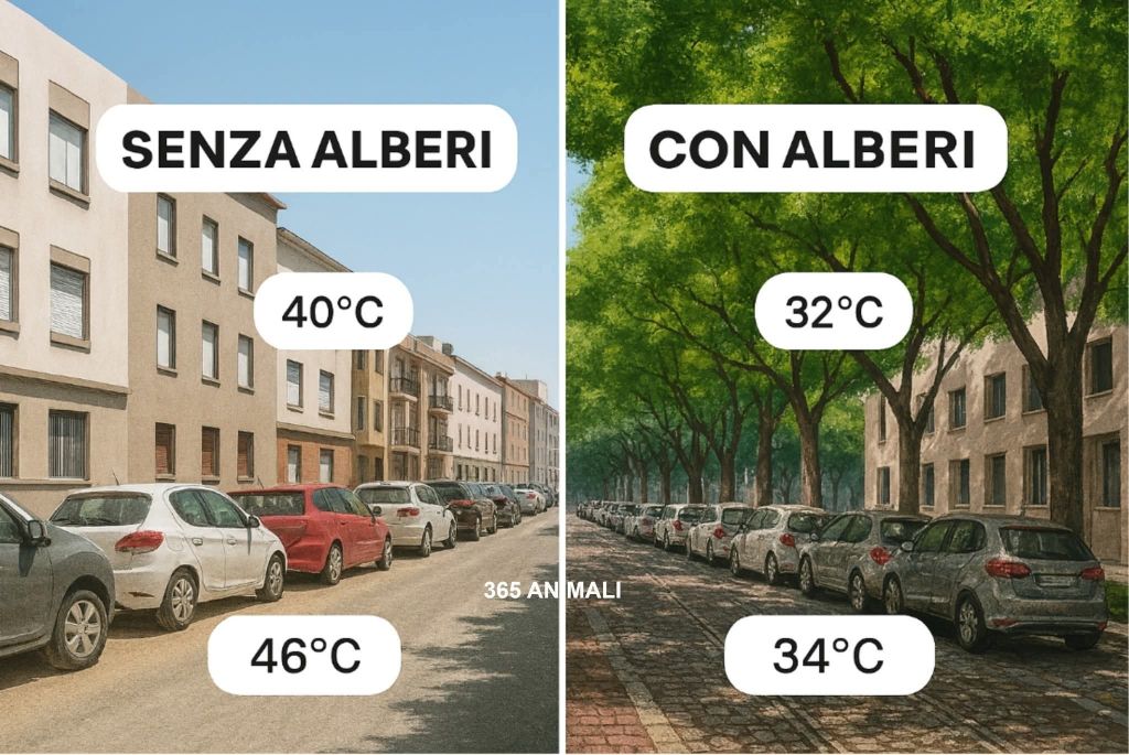 alberi