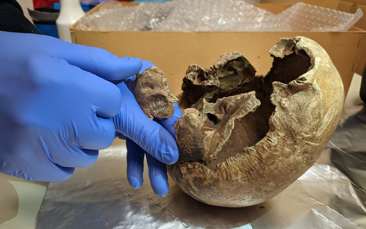 MUSEO PALAFITTE LEDRO TESCHIO ABITANTE 4000 ANNI FA