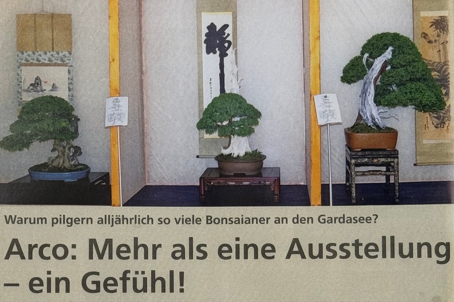 bonsai-club-deutschland-10.jpg