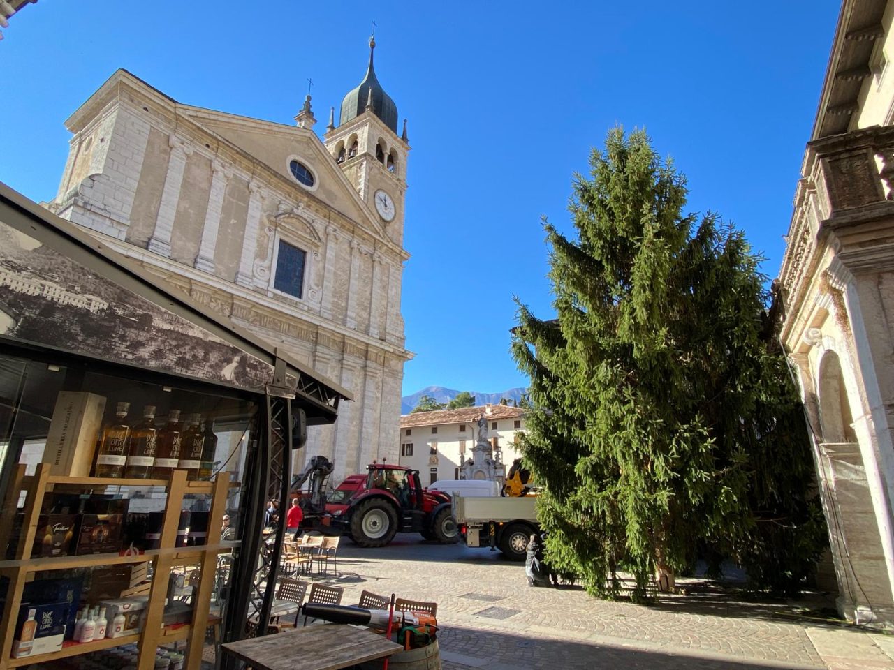 albero natale arco ass piantoni (3)