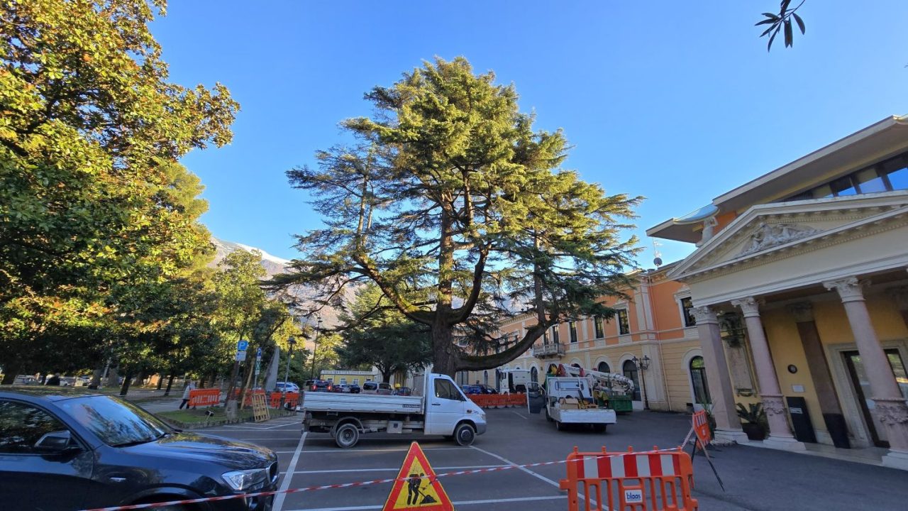 20251210_CEDRO SECOLARE GIARDINI ARCO (1)