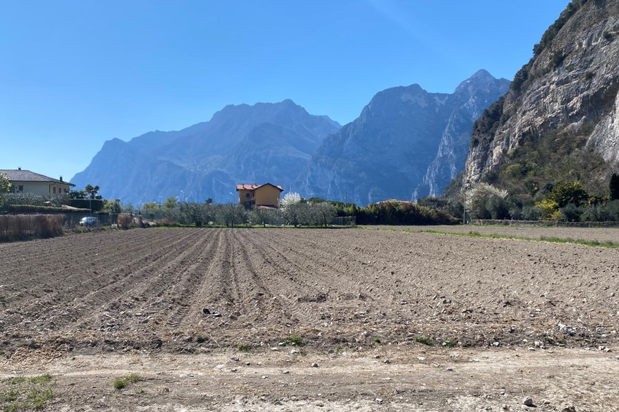 amsa terreni linfano