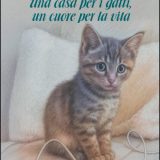 Incontro con la scrittrice Marta Sala - Arco - venerdì 6, sabato 14