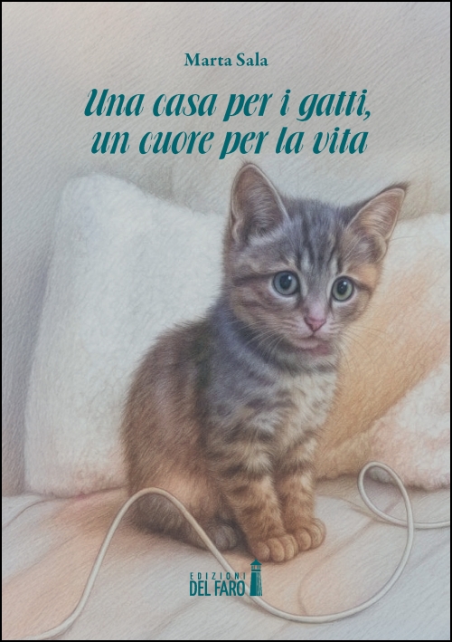 casa per i gatti copertina