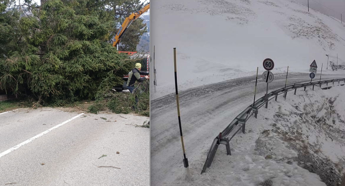 Un-albero-caduto-sulla-SP-1-del-Lago-di-Caldonazzo-e-la-neve-caduta-a-Passo-Sella-SS-242-al-km-31-direzione-Canazei_imagefullwide