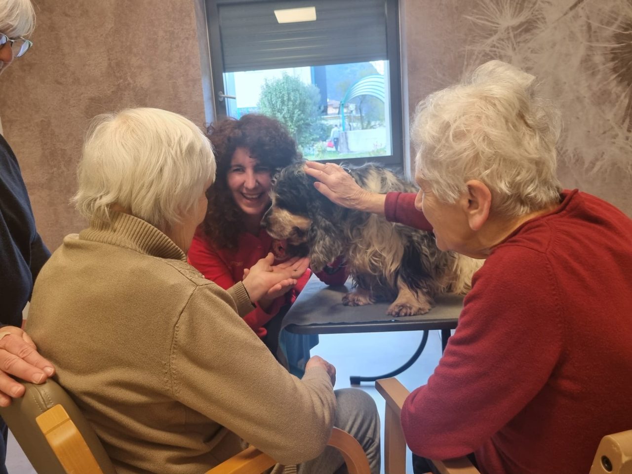 rsa riva anziani Foto 2 pet (1)