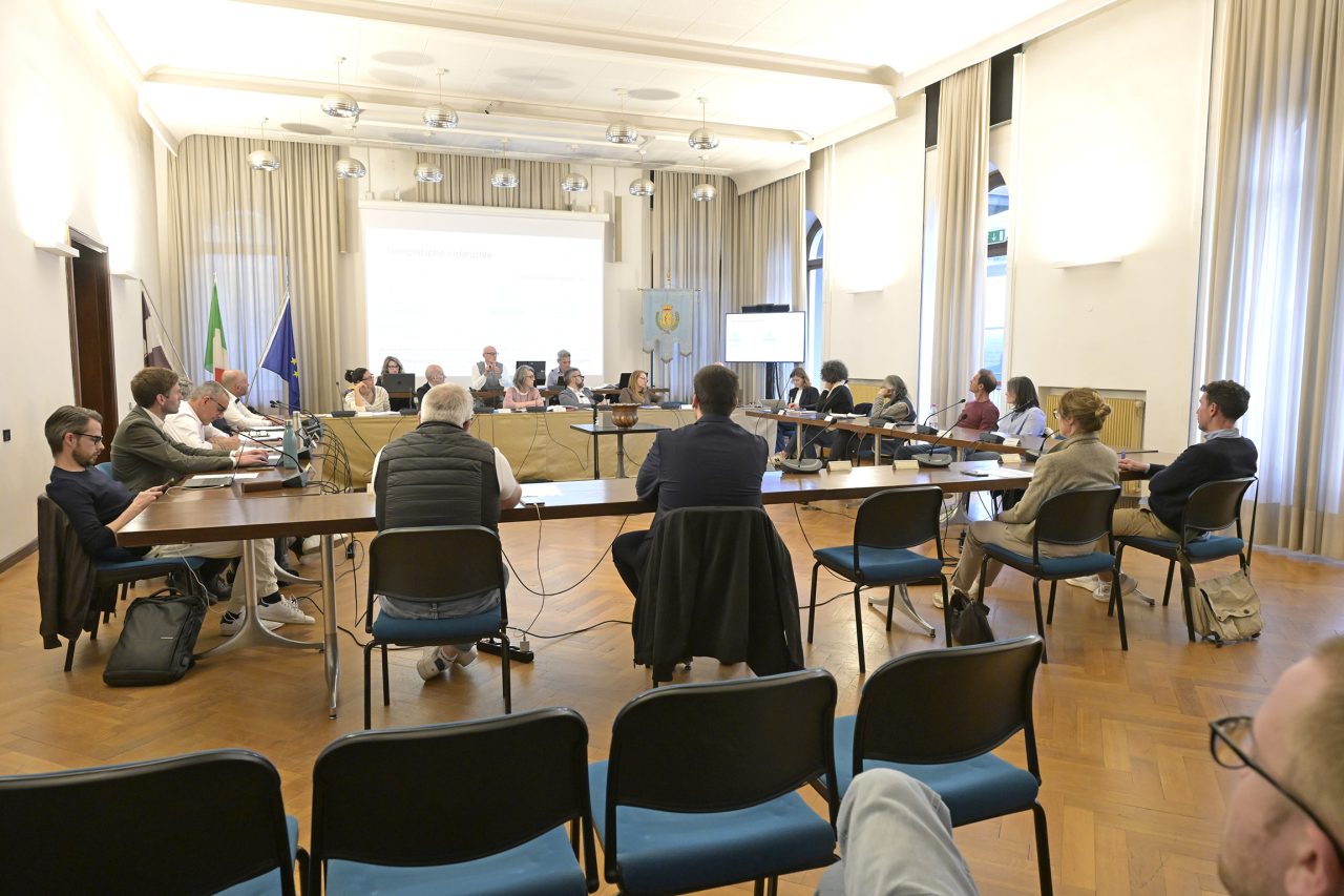 _DSC8313_CONSIGLIO COMUNALE SU AMSA ARCO