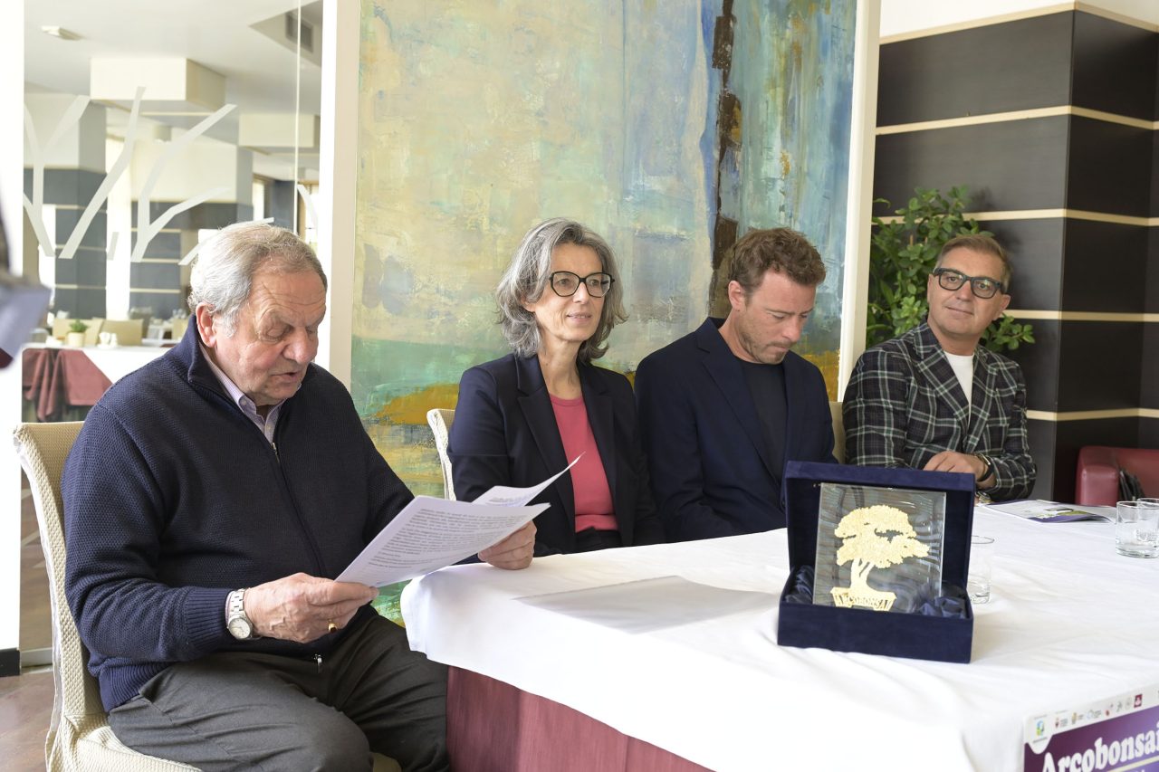 _DSC8417_arco bonsai