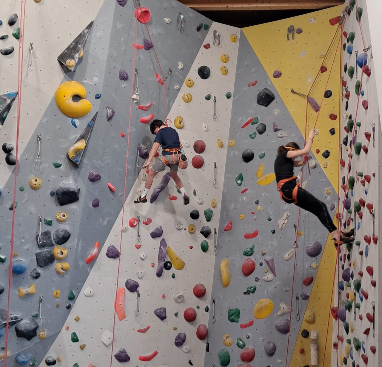 SCUOLE MEDIE LEDRO (3)