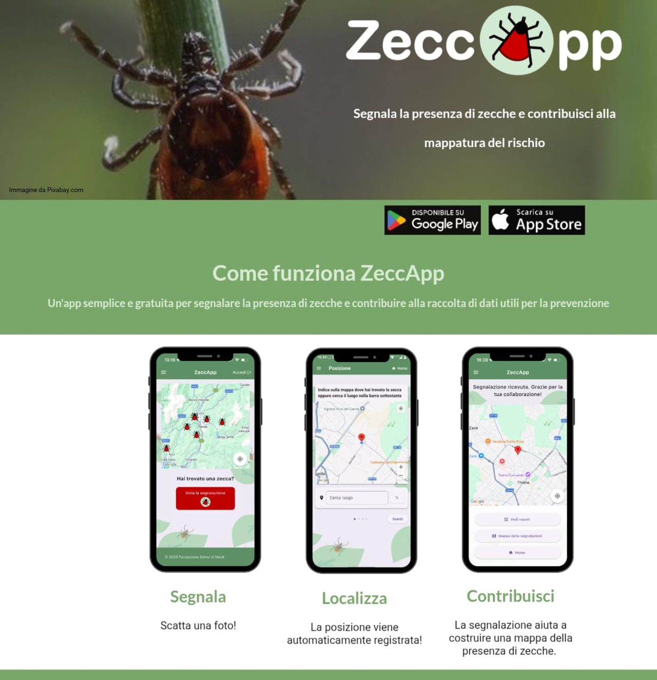 ZeccApp_homepage zecche