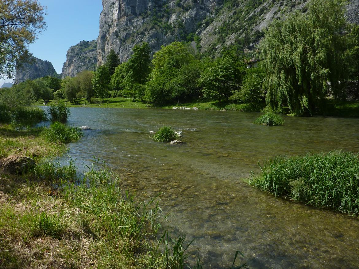 15-RR-Sarca-sarca_arco