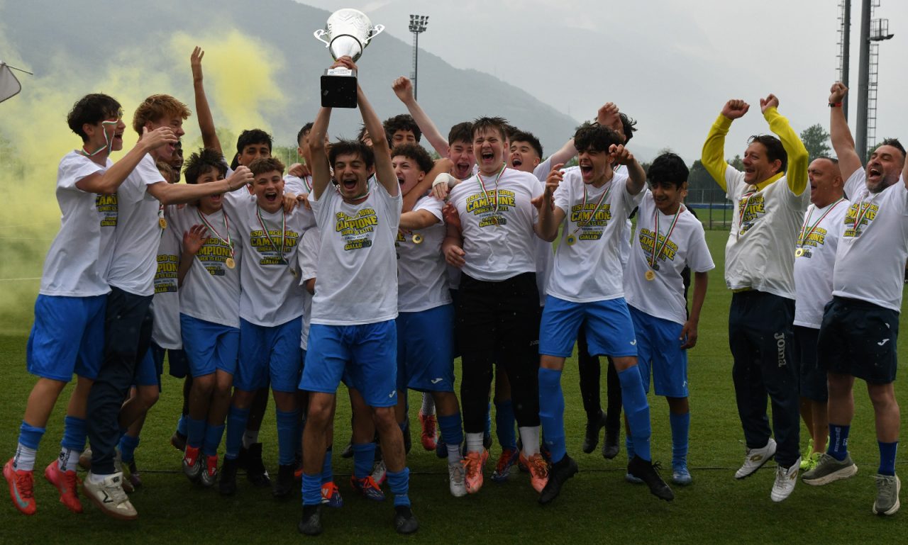 ARCO CALCIO ELITE (5)
