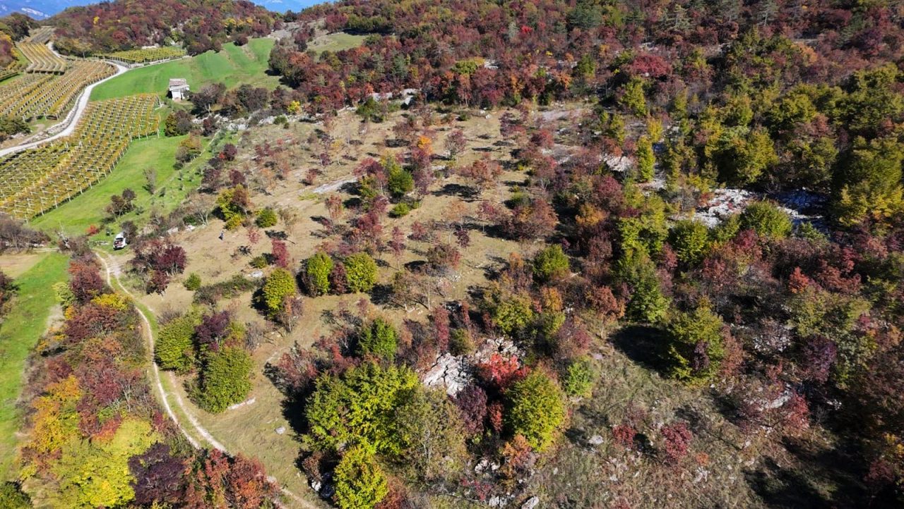 Alessio-Bertolli-presidente-del-Parco-Naturale-Locale-del-Monte-Baldo-3-1280x722.jpg