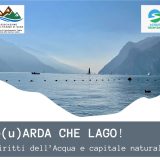 martedì 5