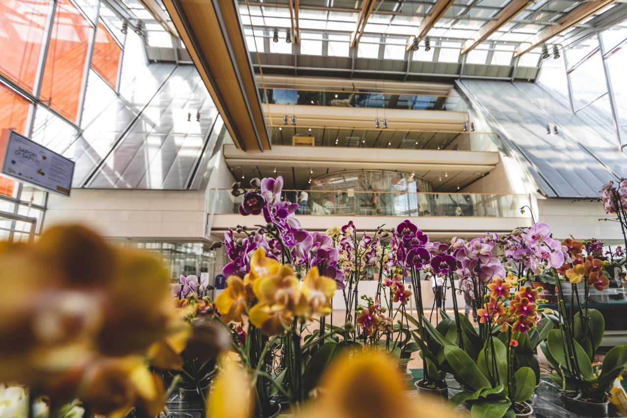 Muse_Orchidarium-1280x853.jpg