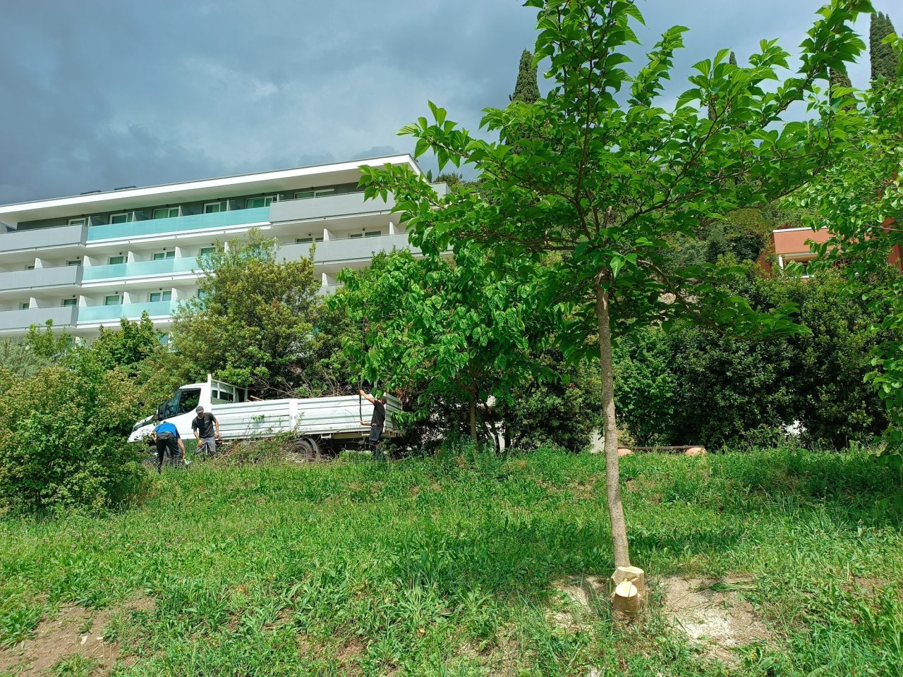 arcoparcobrailelavori