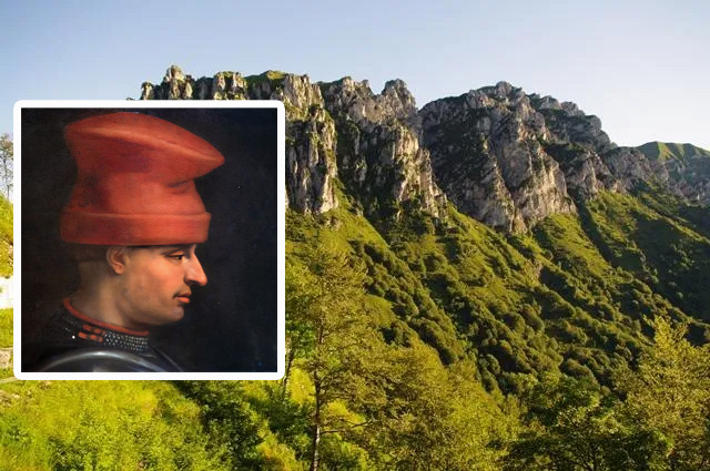 pernici piccinino